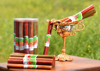 لواشک و ترشک