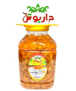 ترشک زردآلو زرد